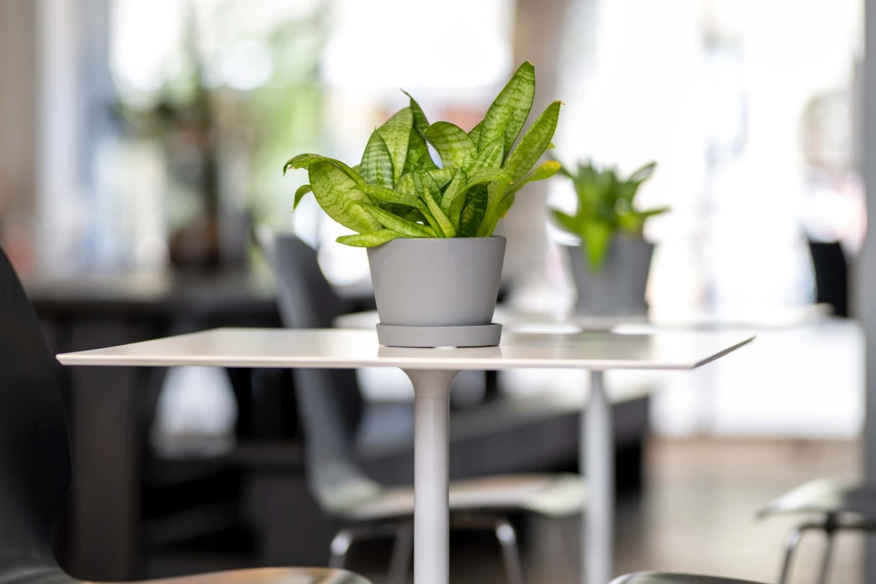 Coworking Space in Berlin Prenzlauer Berg