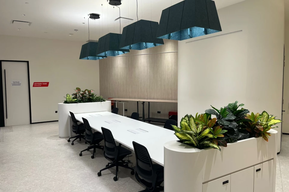 Catapult | Rochester Commons