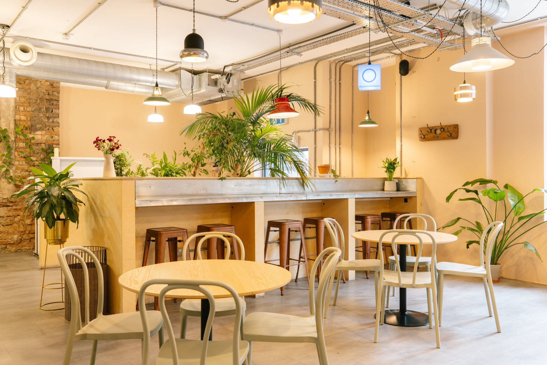 The Brew Eagle House