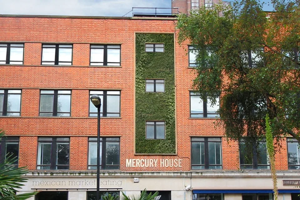 Mercury House main office view