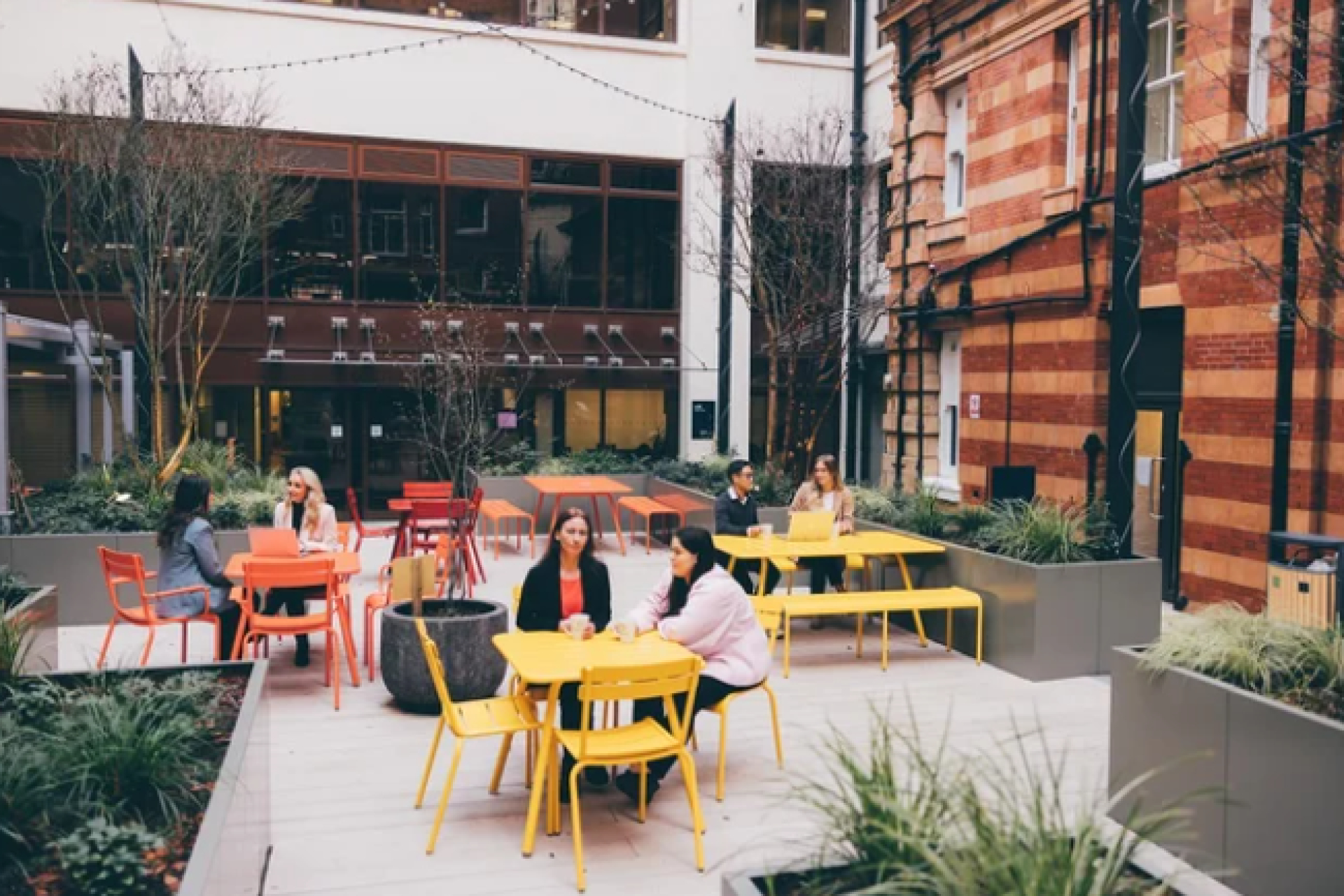 THE TOOTAL BUILDINGS